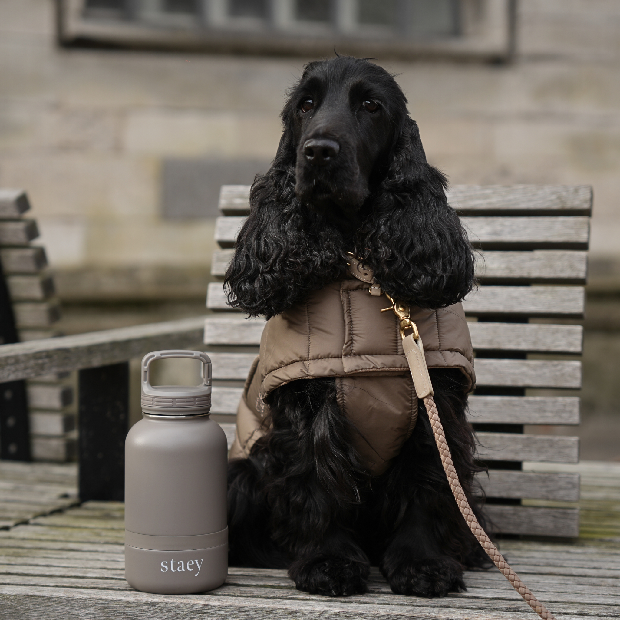 Noona 2-in-1 Bottle w. Bowl | Stainless Steel