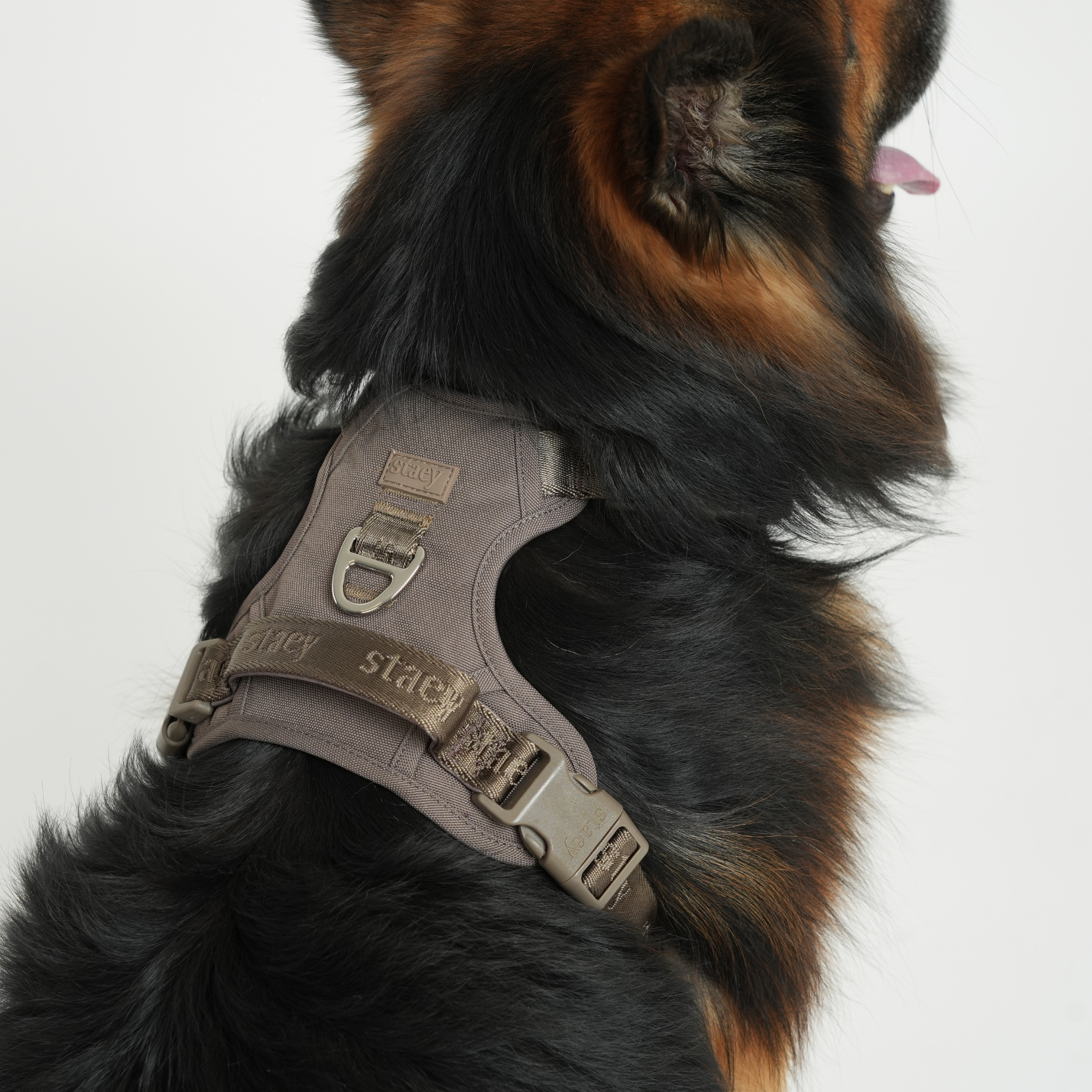 Elma Active Dog Harness | Taupe