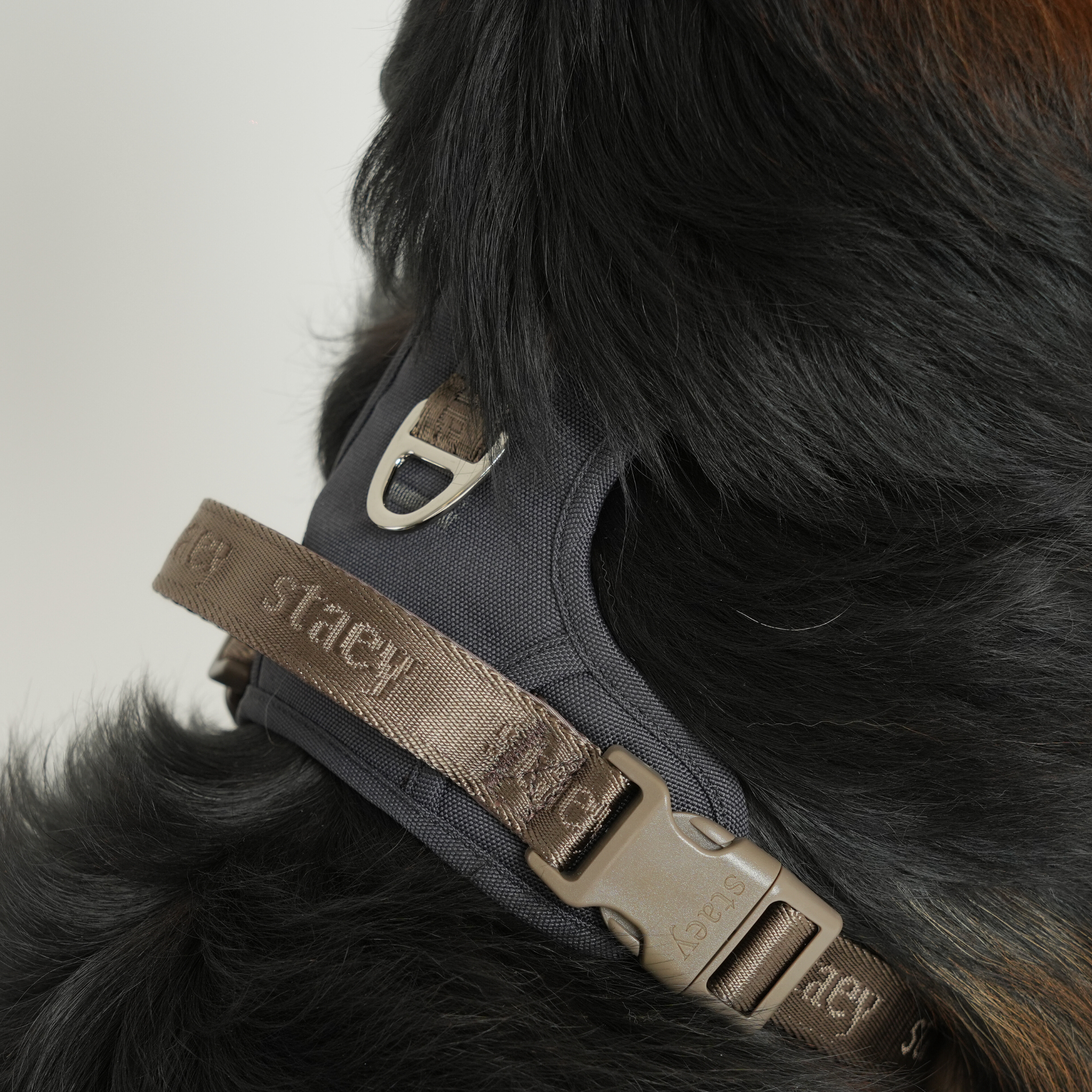 Elma Active Dog Harness | Storm