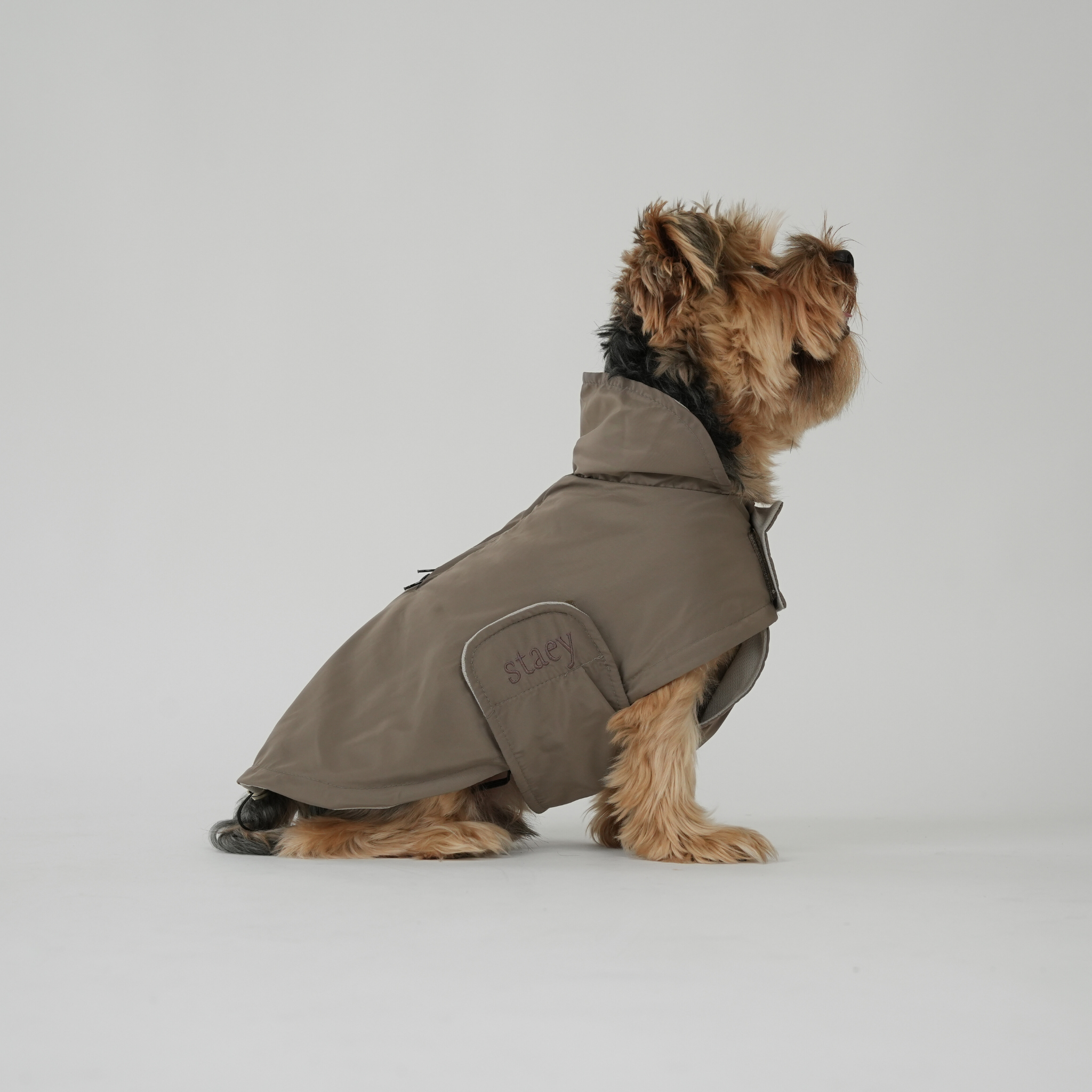 Vega Dog Raincoat | Taupe
