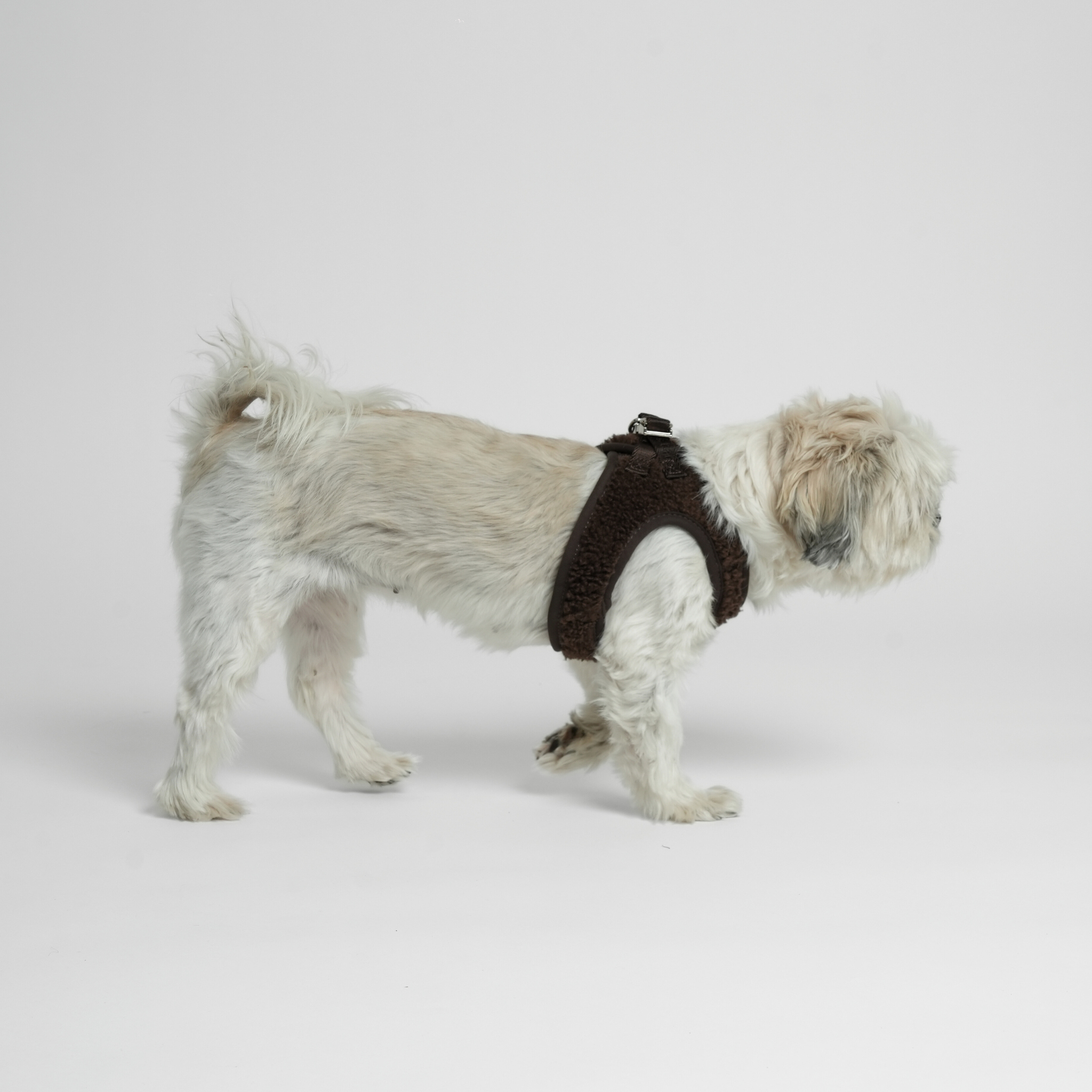 Step-In Dog Harness Teddy | Espresso