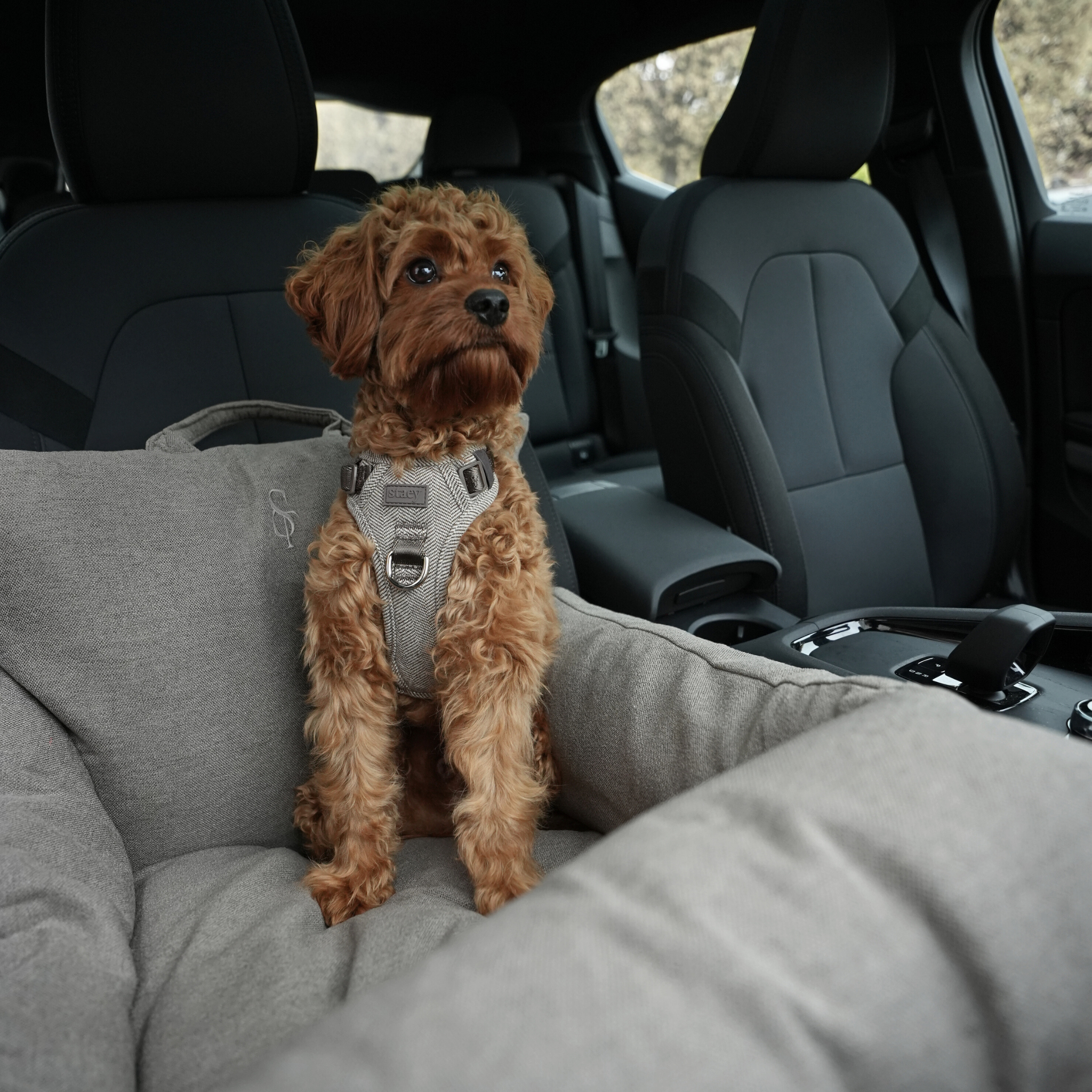 Lara Car Seat | Taupe 2.0