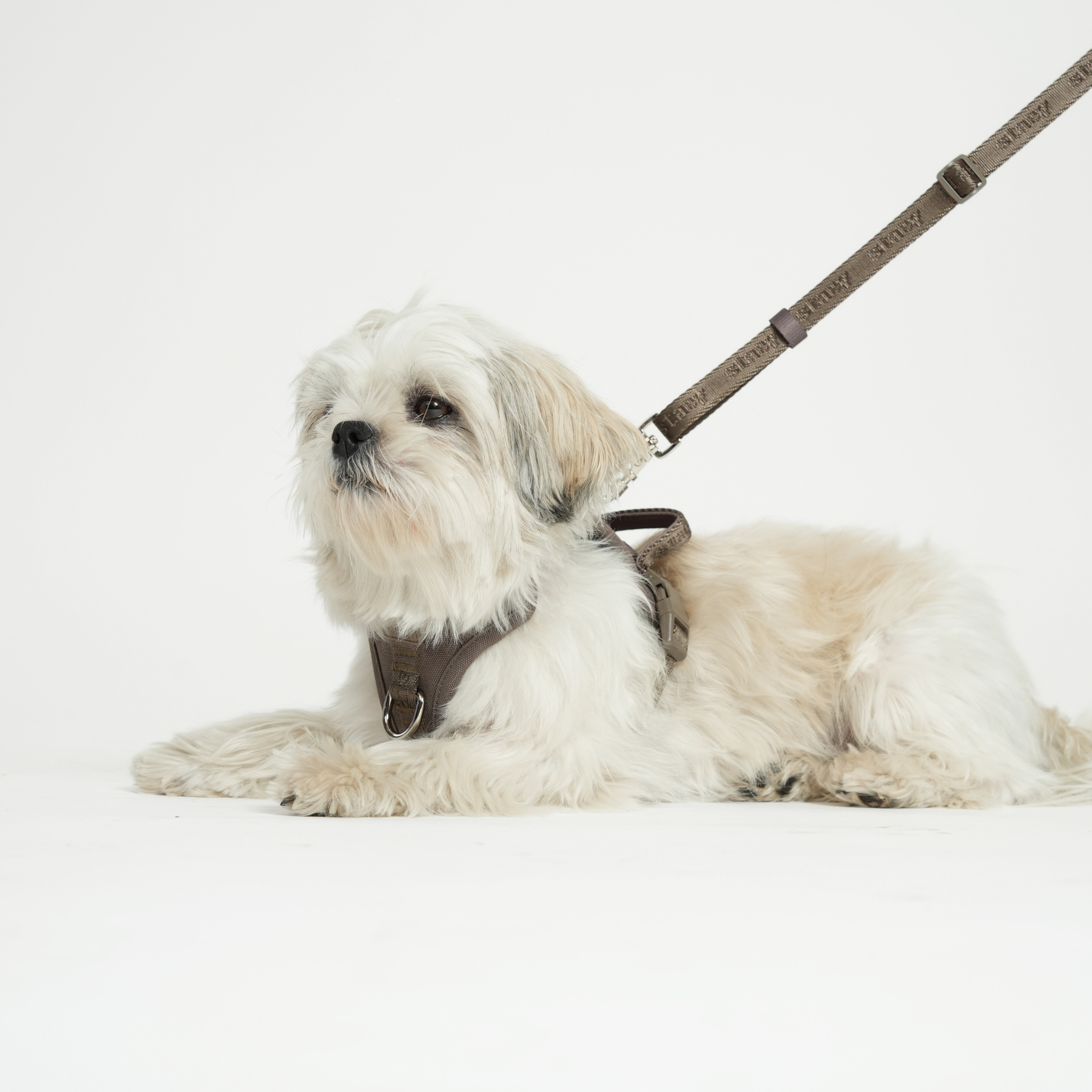 Hands-Free Dog Leash – Taupe