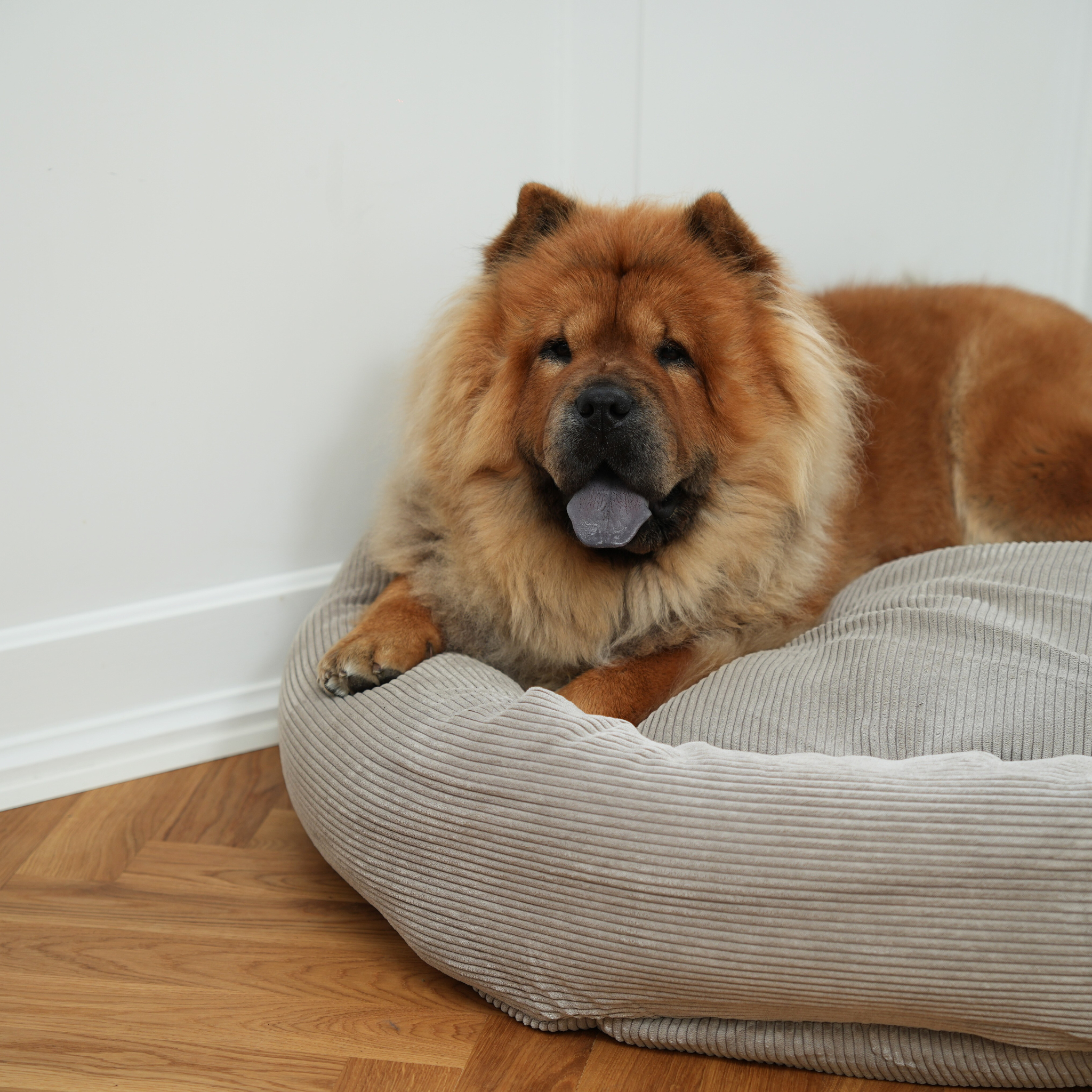 Luna Dog Bed 3.0 | Dune Corduroy