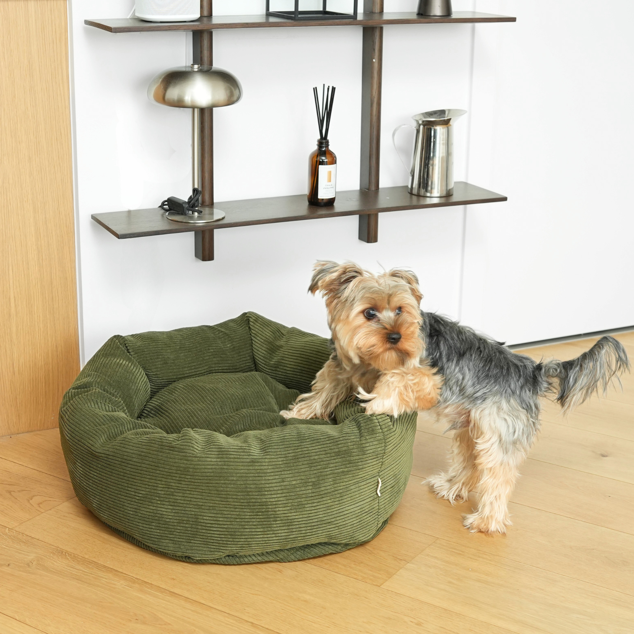 Luna Dog Bed 3.0 | Moss Green Corduroy