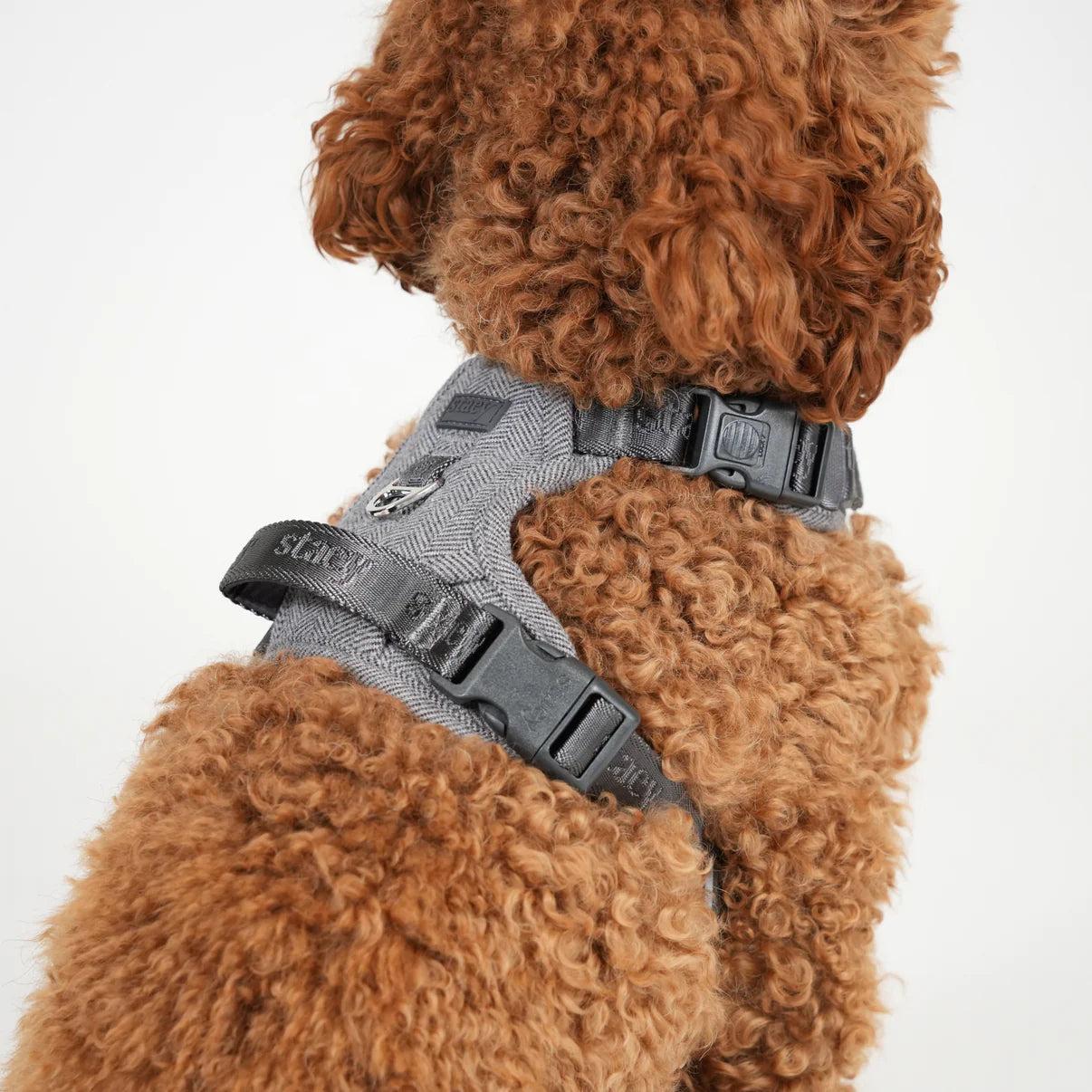 Elma Dog Harness | Dusty Blue