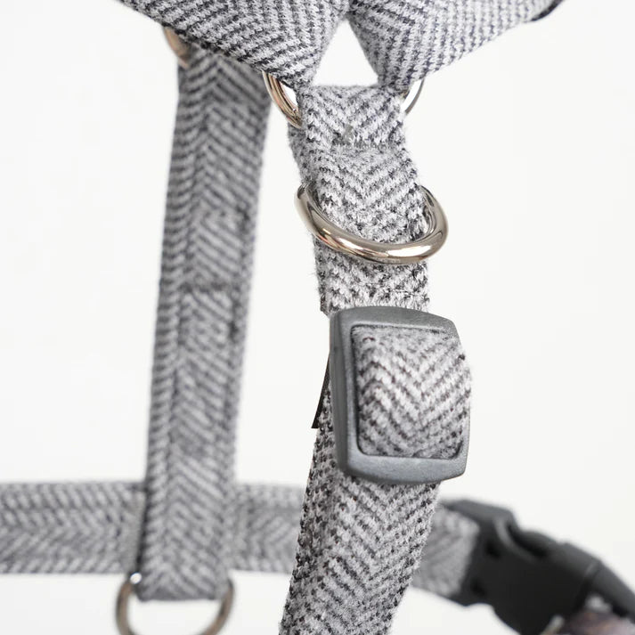 Tara H-Strap Dog Harness | Dusty Blue