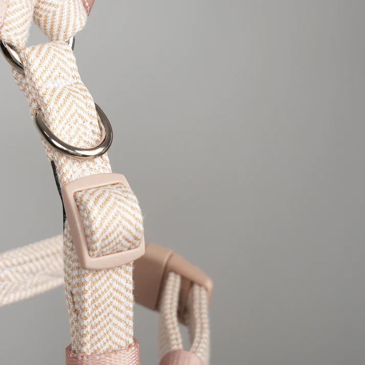 Tara H-Strap Dog Harness | Light Rose