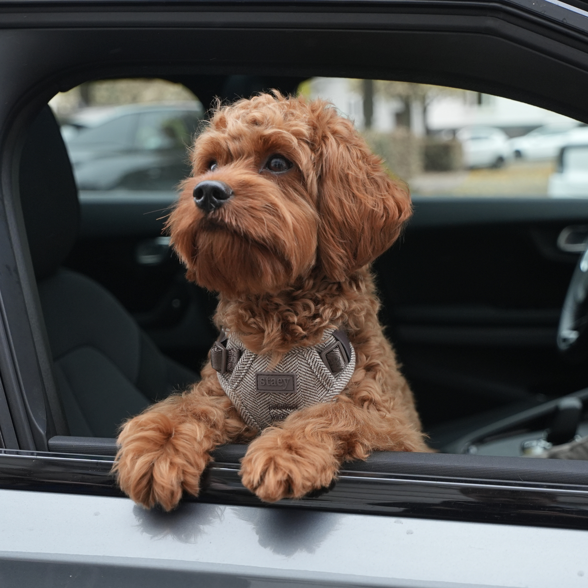 Elma Dog Harness | Mocca