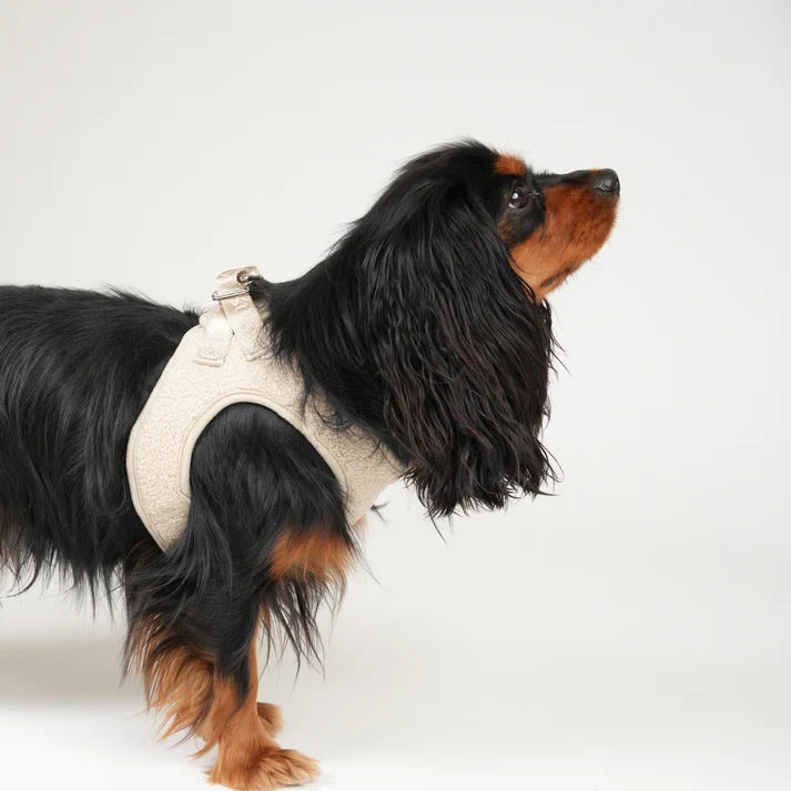 Teddy Step-In Dog Harness | Nature