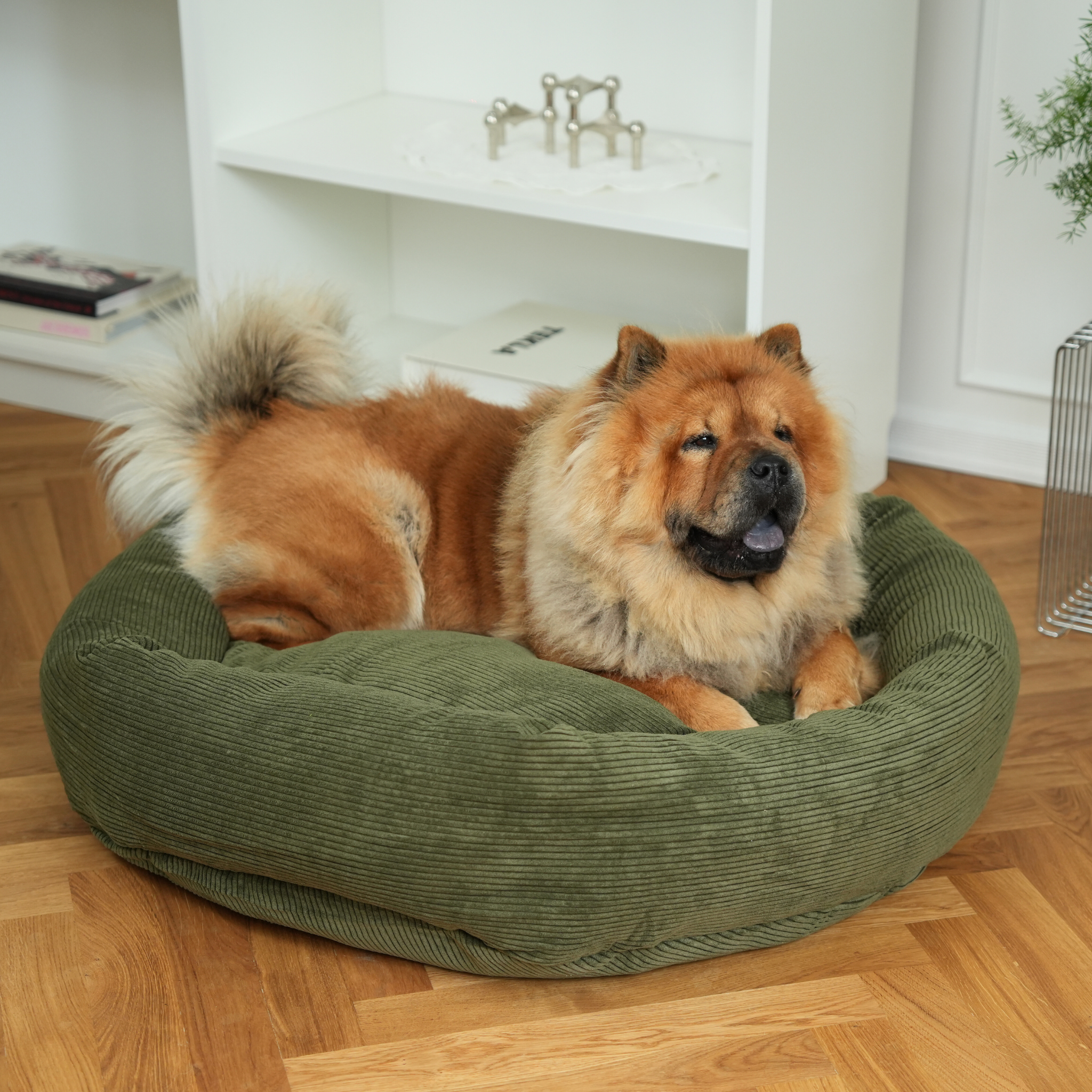Luna Dog Bed 3.0 | Moss Green Corduroy